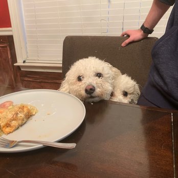 Pie Bar - Desserts Near Me - Woodstock, Georgia