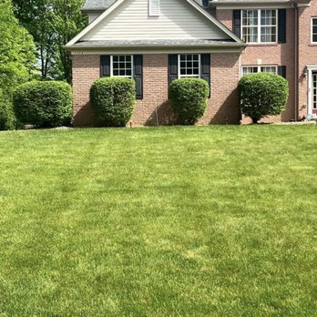 In Gods Hands Lawn & Tree Service - Tree Services Near Me - Stow, Ohio In Gods Hands Lawn & Tree Service - Tree Services Near Me - Stow, Ohio