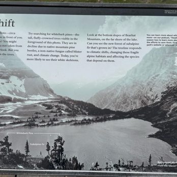 Logan Pass - Parks Near Me