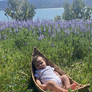 My Earth Birth Midwifery - My sweet cheeks is now one month and thriving - Midwives Near Me - Temecula, California My Earth Birth Midwifery - My sweet cheeks is now one month and thriving - Midwives Near Me - Temecula, California