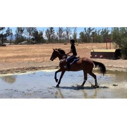 Blossom Hill Ranch