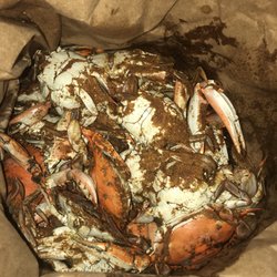 Captain Bobs Crabs & Seafood