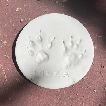 Pet Haven Cemetery & Crematory - Pet Cremation Services Near Me - Gardena, California Pet Haven Cemetery & Crematory - Pet Cremation Services Near Me - Gardena, California