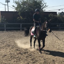 Trotting away.