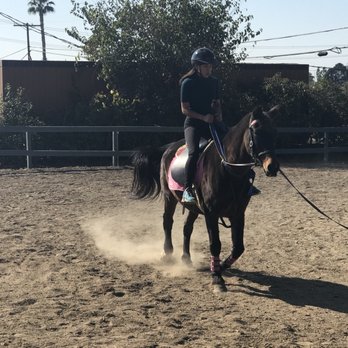 Miller Equestrian Services - Trotting away. - Horseback Riding Near Me - Escondido, California