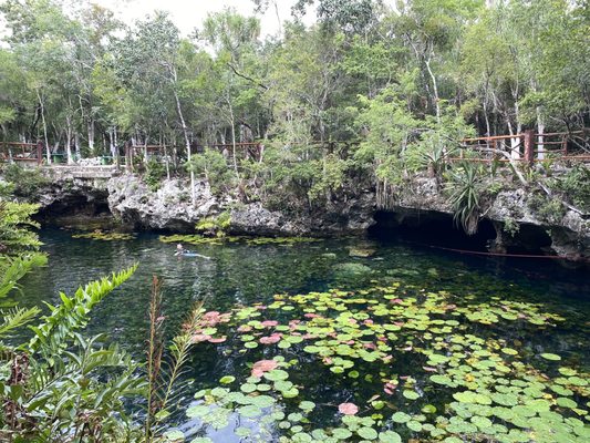 Two Eyes Cenote by null