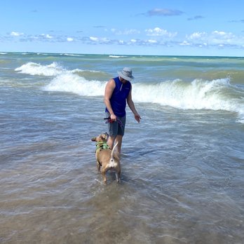 Indiana Dunes State Park - Parks Near Me - Chesterton, Indiana Indiana Dunes State Park - Parks Near Me - Chesterton, Indiana