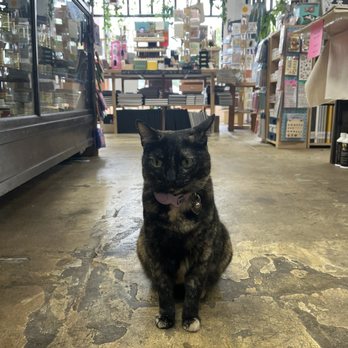 Blue Rooster Art Supplies - Pasadena - Cat - Art Supplies Near Me - Pasadena, California Blue Rooster Art Supplies - Pasadena - Cat - Art Supplies Near Me - Pasadena, California