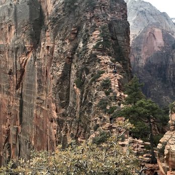 Angel's Landing - Last half mile with chains for support. - Hiking Near Me - Springdale, Utah Angel's Landing - Last half mile with chains for support. - Hiking Near Me - Springdale, Utah