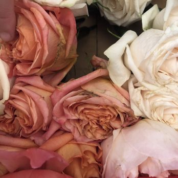 Native Poppy - Wedding flowers - Florists Near Me - San Diego, California Native Poppy - Wedding flowers - Florists Near Me - San Diego, California
