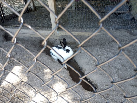 Canada Agriculture and Food Museum by null