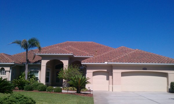 Soapy D's Exterior Cleaning Logo