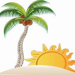 Gravely Chiropractic & Wellness