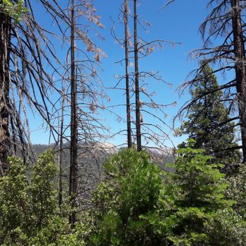 Sequoia National Forest - Hiking Near Me - Porterville, California Sequoia National Forest - Hiking Near Me - Porterville, California