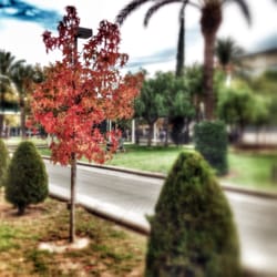 Universitat Politècnica de València UPV