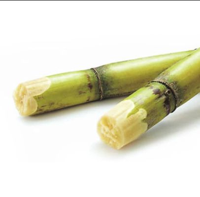 Cane & Coconut by null