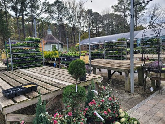 Garden Supply Company by null