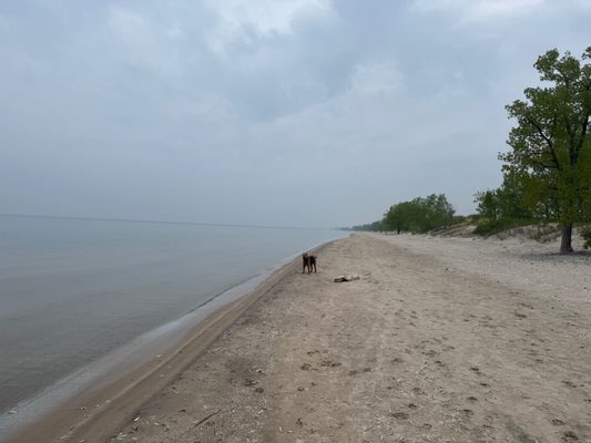 Sandbanks Provincial Park by null