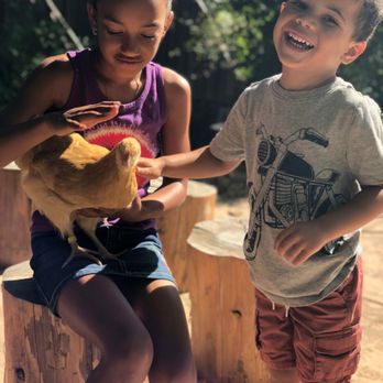 Creative Nature Project - Preschools Near Me - Orangevale, California