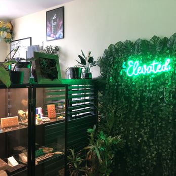 Elevated Body Adornment - Super cute, bright space - Piercing Near Me - Toronto, Ontario