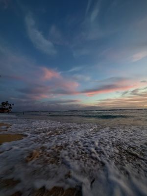 Kaimana Beach by null