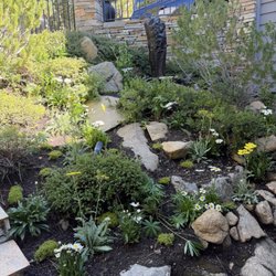Tahoe Tree Company - Plants from Tahoe tree planted by green envy