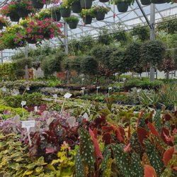 Seneca Greenhouse
