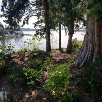 Meydenbauer Bay Park - A shady spot at the top of the hill - Parks Near Me - Bellevue, Washington Meydenbauer Bay Park - A shady spot at the top of the hill - Parks Near Me - Bellevue, Washington