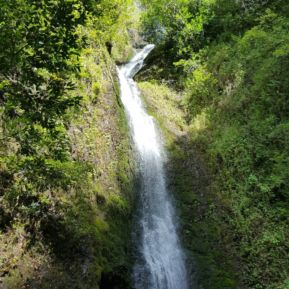Lulumahu Falls - Hiking Near Me - Honolulu, Hawaii