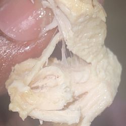 Jason's Deli - Chicken from a Ranchero Wrap.