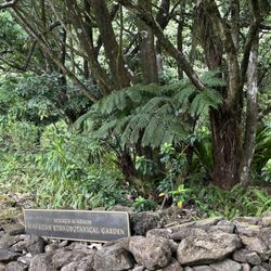Harold L. Lyon Arboretum - Beatrice Krauss Ethnobotanical Garden