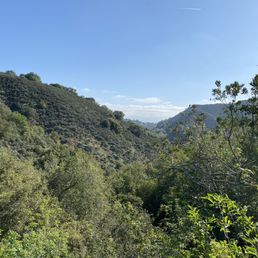 View from the bunny loop