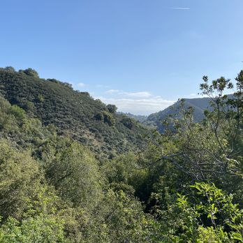 Hidden Villa - View from the bunny loop - Community Service/Non-Profit Near Me - Los Altos Hills, California