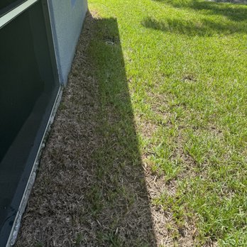 Your Green Team - Pest Control Near Me - Plant City, Florida Your Green Team - Pest Control Near Me - Plant City, Florida