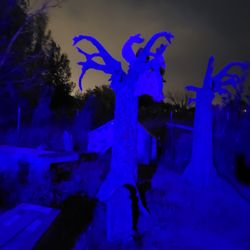 Shadows Of Fear