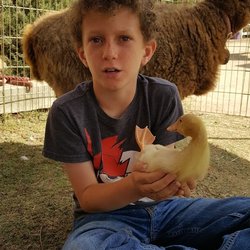 Cindy Lu's Petting Zoo