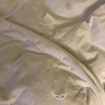 Larkspur Landing - Comforter torn and has patches sewn in. Very dingy. - Hotels Near Me - Pleasanton, California Larkspur Landing - Comforter torn and has patches sewn in. Very dingy. - Hotels Near Me - Pleasanton, California