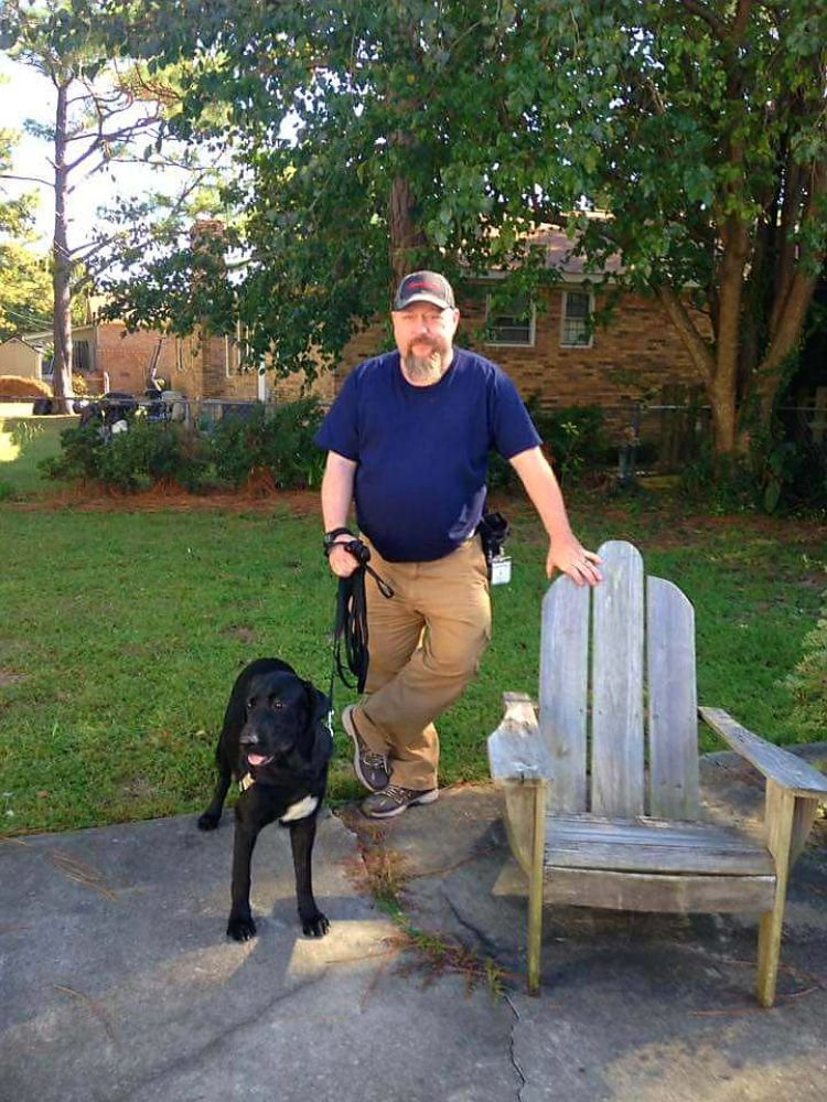 Pawsitively Obedient Dog Training Image