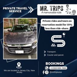 Mr Trips