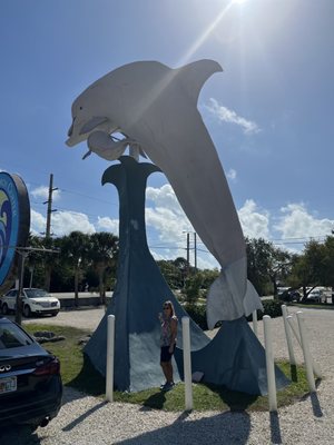 Dolphin Research Center by null