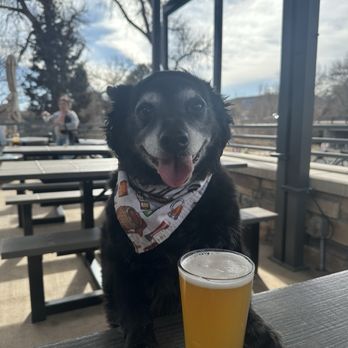 Colorado Tap House - Beer Bar Near Me - Arvada, Colorado Colorado Tap House - Beer Bar Near Me - Arvada, Colorado