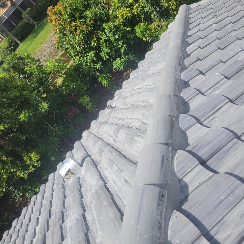 Slide of Turtle Roofing