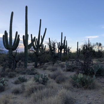 Sabino Canyon - Parks Near Me - Tucson, Arizona