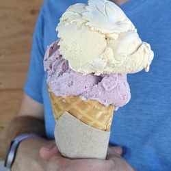 e.b.'s Ice Cream Shop - Earl grey honey - 4.5 star, lovely, subtle, well balanced. Blackberry sage - 4 stars, tart, less sweet. Wed afternoon 2023-07-19