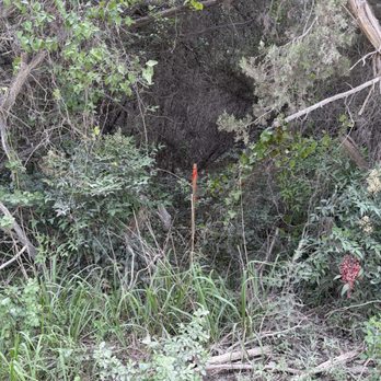 4B Land Surveying - Land Surveying Near Me - Tolar, Texas 4B Land Surveying - Land Surveying Near Me - Tolar, Texas