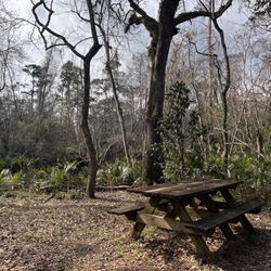 Camp Salmen Nature Park