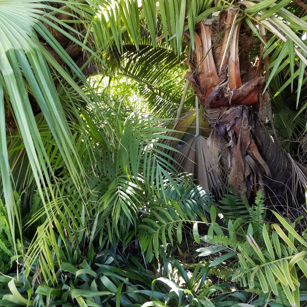 Caravan Outpost - Tropical gardens. - Hotels Near Me - Ojai, California