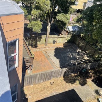 The Dog Professional Tree Service - Tree Services Near Me The Dog Professional Tree Service - Tree Services Near Me