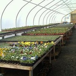Baggott Family Farms