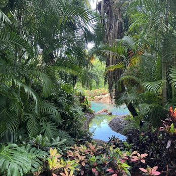 Discovery Cove - Amusement Parks Near Me - Orlando, Florida